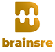 Brainsre News Logo